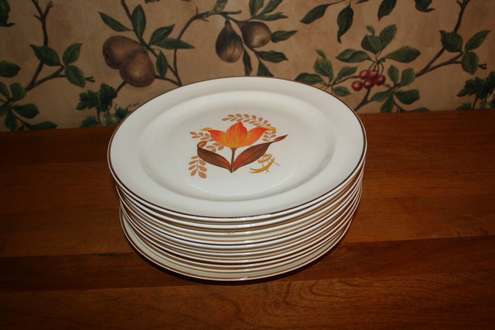 10-vintage Bakerite/harker Modern Tulip Luncheon Plates- 9"